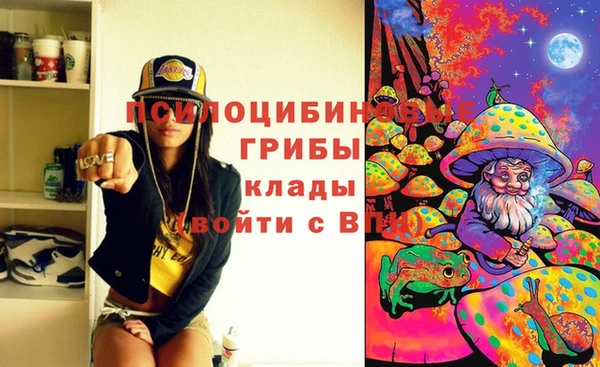 бошки Покачи