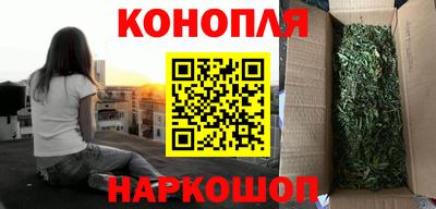 сатива Бузулук