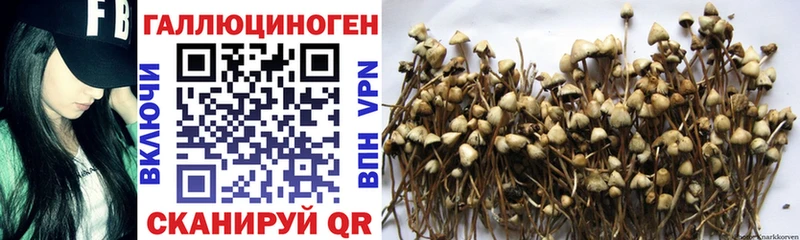 KRAKEN сайт  Стрежевой  Галлюциногенные грибы прущие грибы 