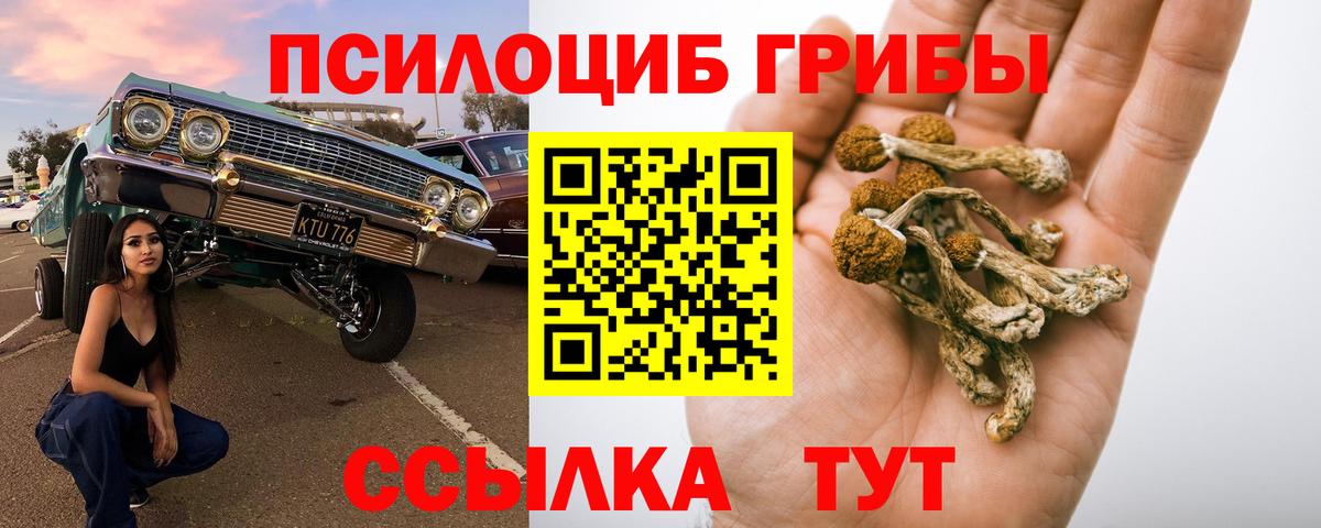 Стрежевой  Галлюциногенные грибы Psilocybe  Галлюциногенные грибы Psilocybine cubensis  Вход с VPN 