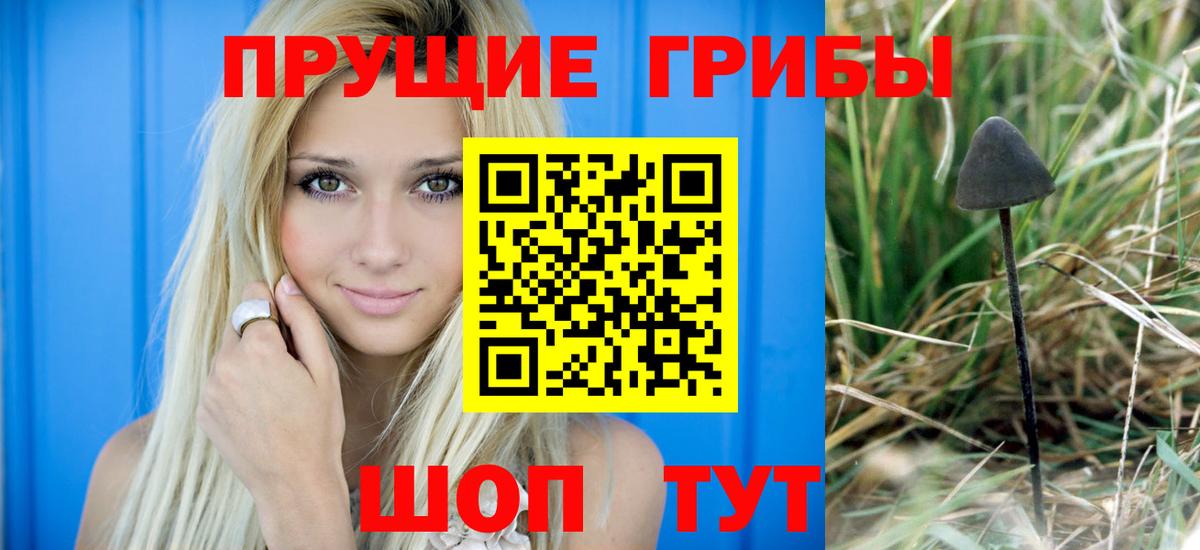 Псилоцибиновые грибы Magic Shrooms  Псилоцибиновые грибы прущие грибы  Стрежевой 