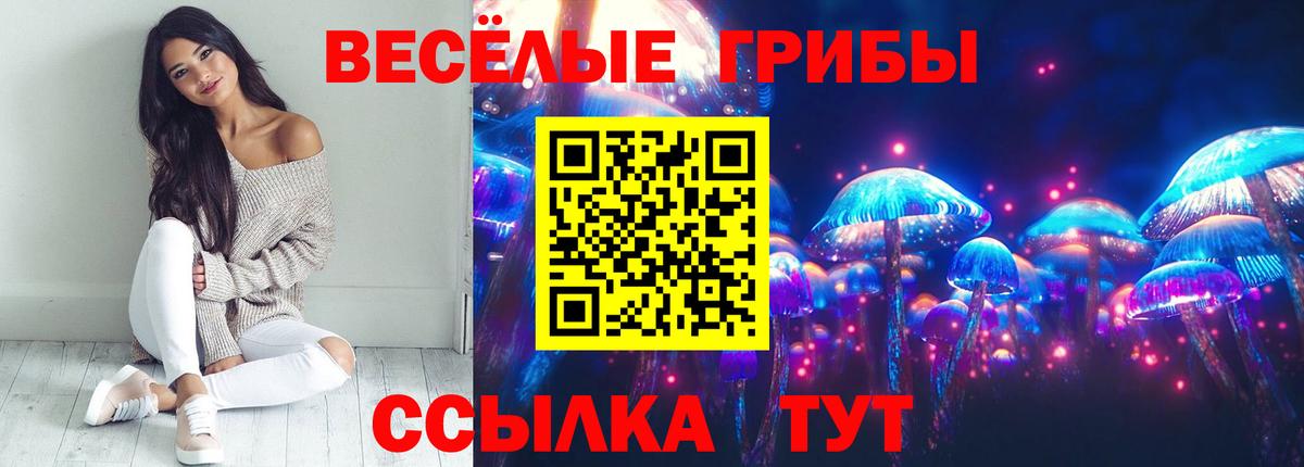 Галлюциногенные грибы Magic Shrooms Стрежевой